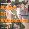Nugget Of Wonderness: “Lawn Chair Part 2″